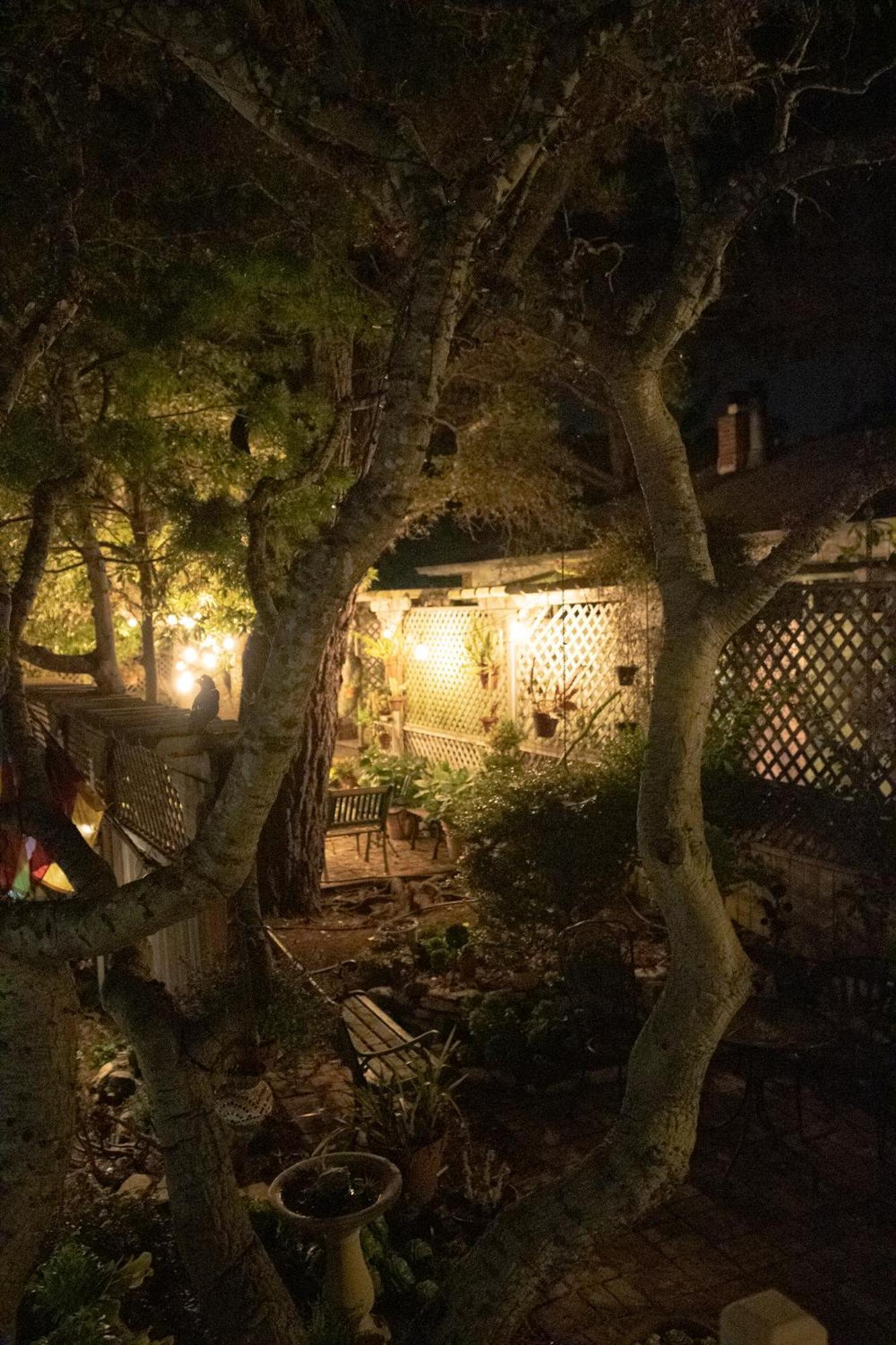 Carmel Garden Inn Eksteriør bilde